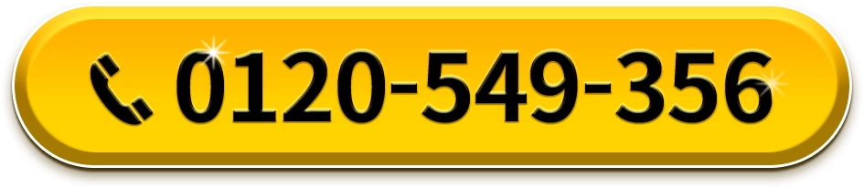 0120-549-356